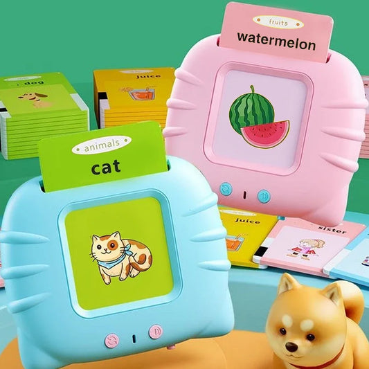 Talking Flash Cards Educational Audio Learning Toy