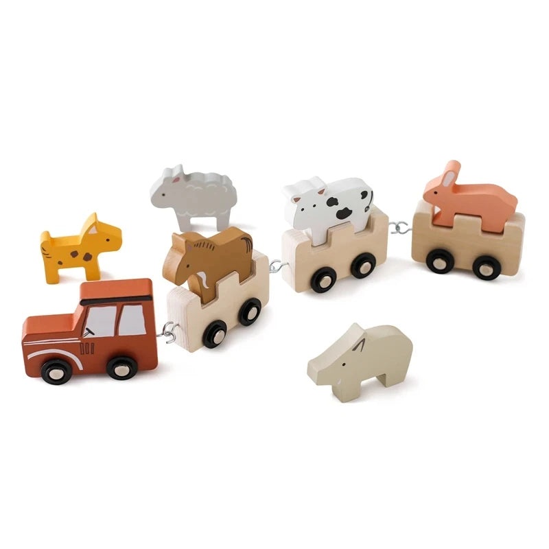 Wooden Montessori Train Toy for Kids