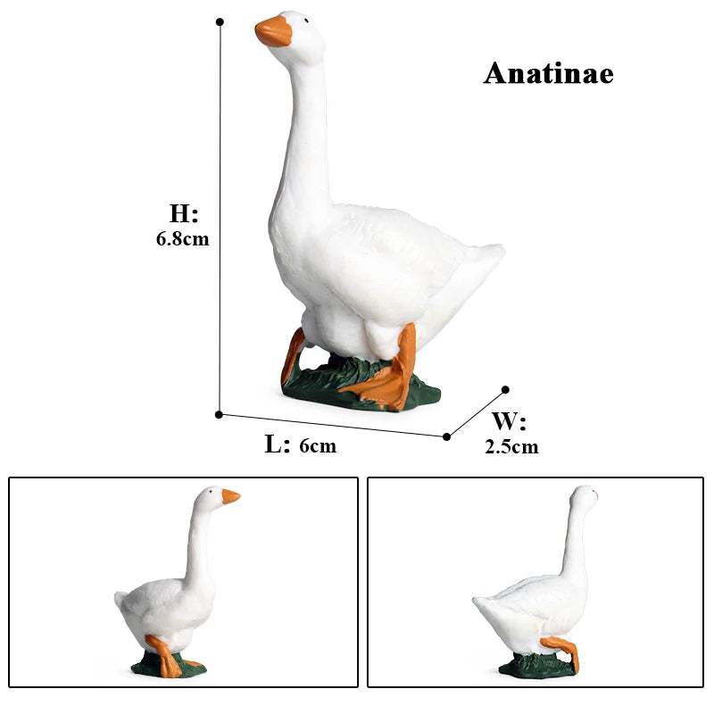 Farm Animal Figures Set – PVC Duck, Goose, Swan & Chicken Models