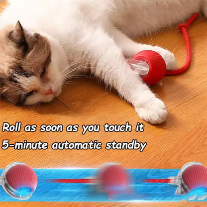 Interactive Dog Ball with Automatic Obstacle Avoidance