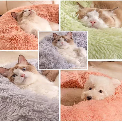 Donut Cat Bed – Plush Washable Round Pet Bed for Dogs