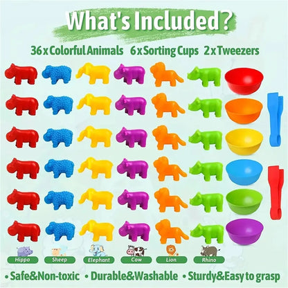 Counting and Sorting Toys for Kids – Montessori Learning Set