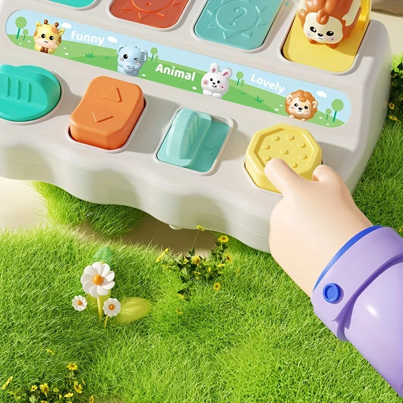 Montessori Pop Up Animal Toy – Learning Box