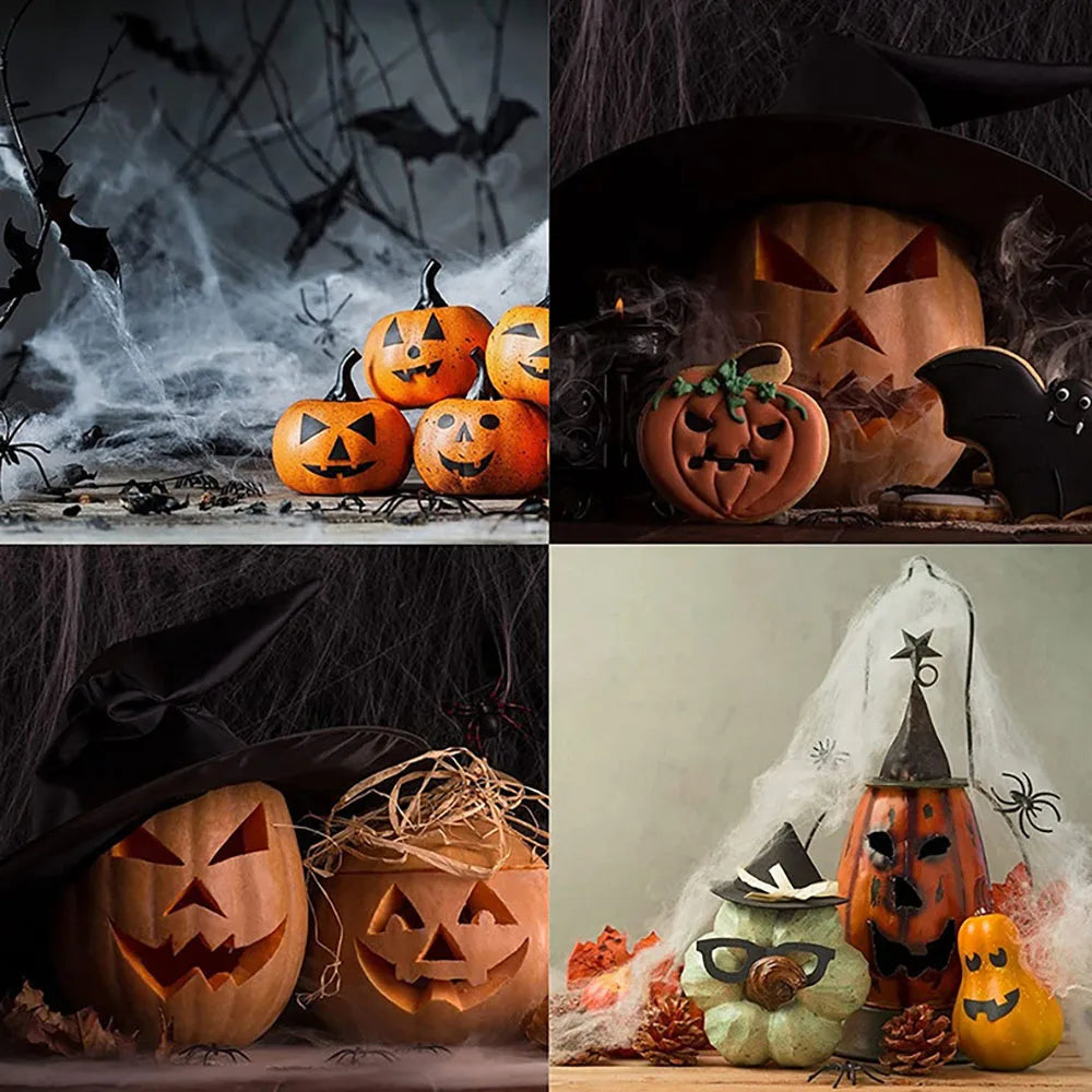 Halloween Spider Web Decoration with Spider Haunted House Decor