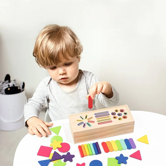 Wooden Color Sorting Toy Montessori Shape Matching Game