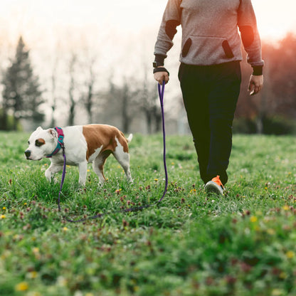 Long Dog Training Leash