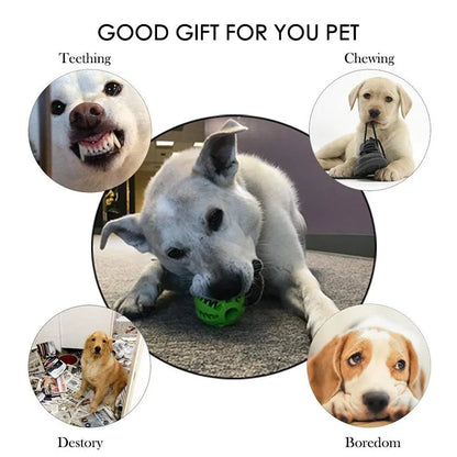 Interactive Dog Ball – Chew, Treat & Dental Toy