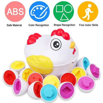 12-Piece Montessori Matching Eggs – Color & Shape Sorter