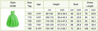 Girls Princess Dress Elsa Anna Kids Cosplay Costume