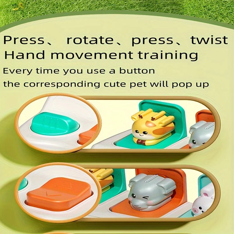 Montessori Pop Up Animal Toy – Learning Box