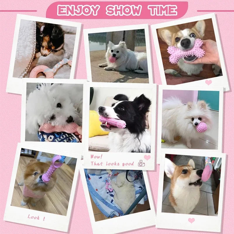 Dog Chew Toys for Teeth Cleaning