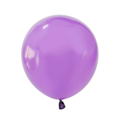 Matte Latex Balloons 10/20/30 Pack Party Decoration Balloons