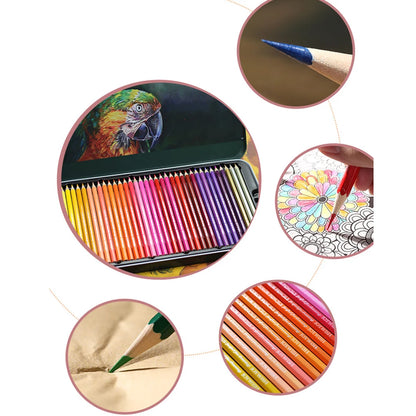 Oil Colored Pencil Set – 12 to 72 Colors for Drawing & Sketching