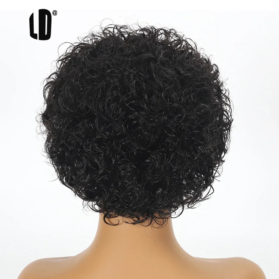 Curly Pixie Cut Human Hair Wig 13x1 HD Lace Front