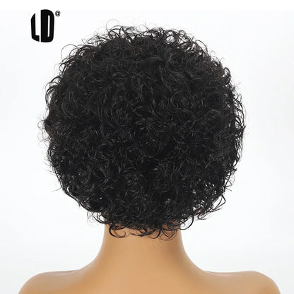 Curly Pixie Cut Human Hair Wig 13x1 HD Lace Front