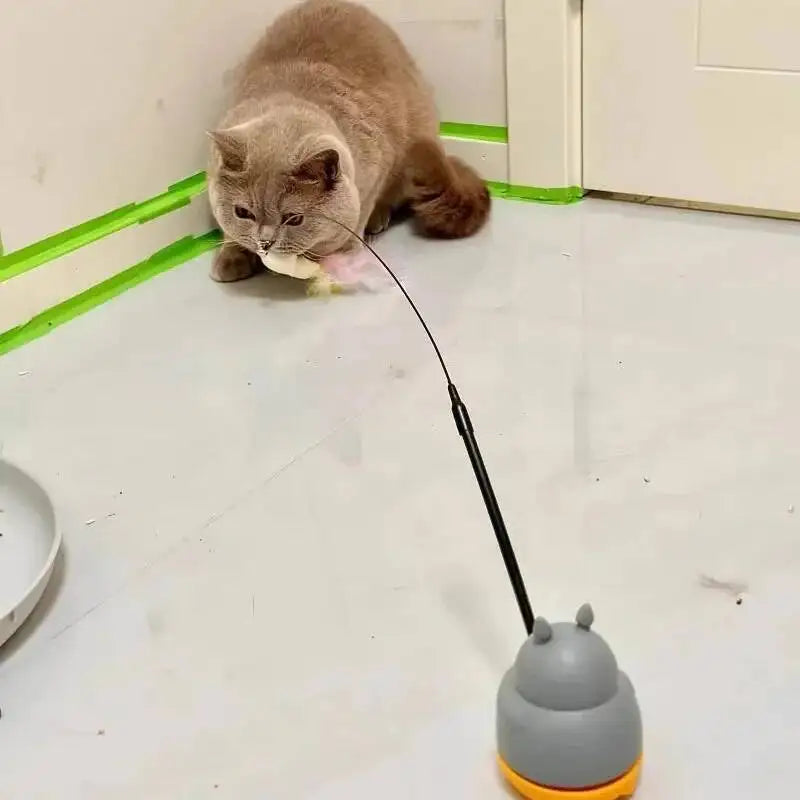 Cat Teaser Wand with Bell & Feather – Interactive Toy