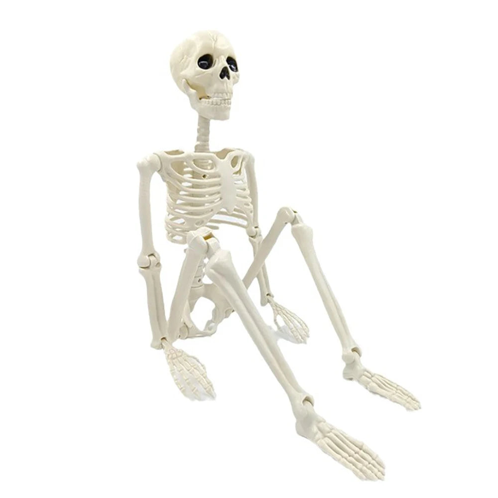 Halloween Skeleton Decoration Posable Human Skeleton Prop