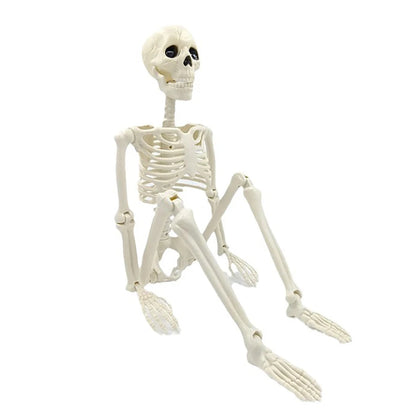 Halloween Skeleton Decoration Posable Human Skeleton Prop