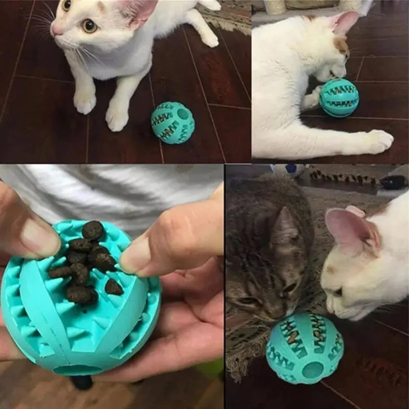 Interactive Dog Ball – Chew, Treat & Dental Toy